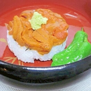 北海道の贅沢☆　大盛り「ウニのっけ寿司」